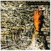 SIOUXSIE And The BANSHEES - Juju (+3 bonus) - CD