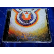 DAVID SYLVIAN - Gone To Earth 2CD DAVID SYLVIAN - Gone To Earth 2CD