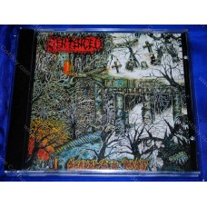 SENTENCED - Shadows Of The Past CD SENTENCED - Shadows Of The Past CD